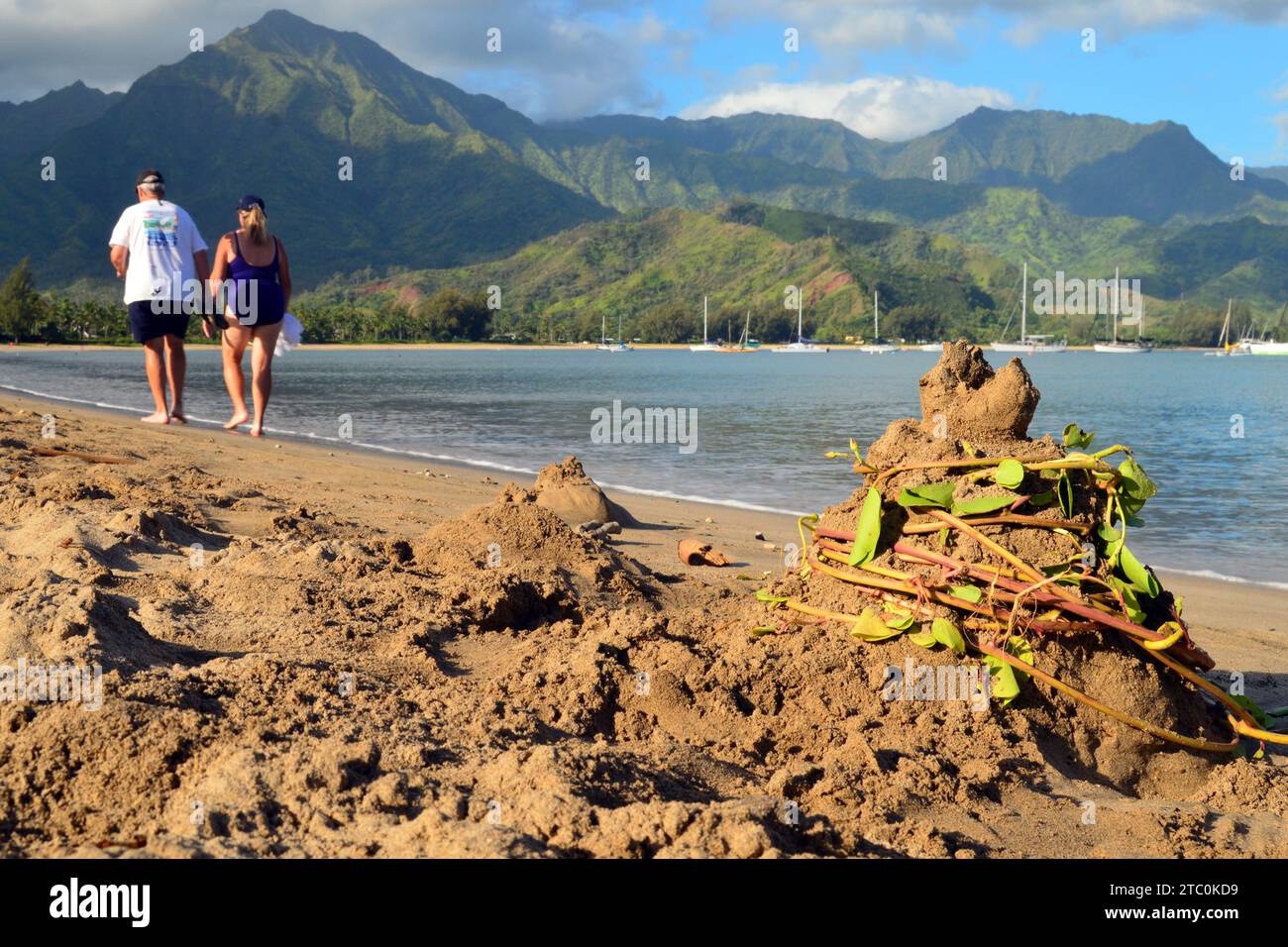 Ein älteres Ehepaar spaziert entlang der Küste mit Sandhügeln, die in Seetang gehüllt sind, in der Nähe der Hanalei Bay auf Kauai, Hawaii Stockfoto
