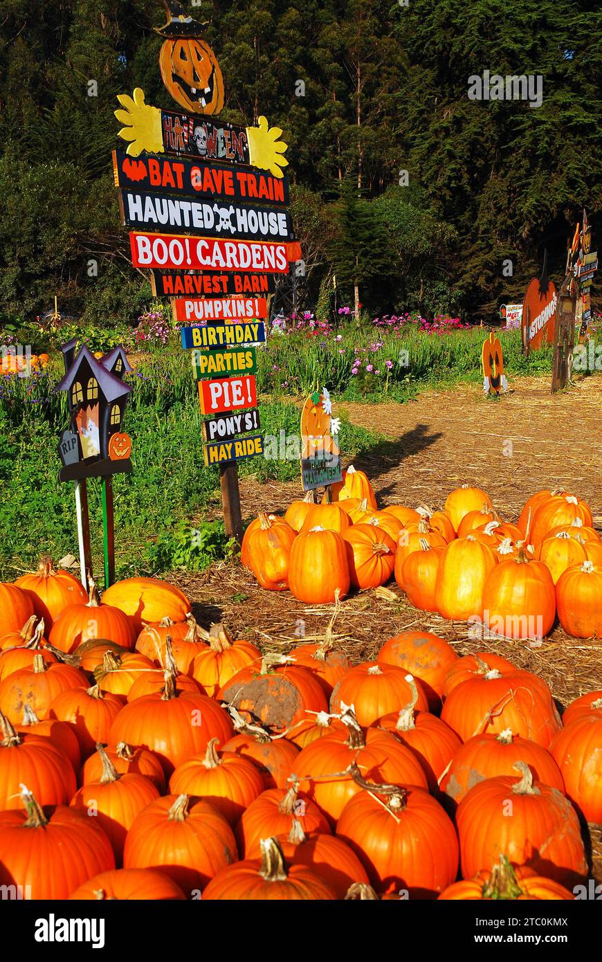 Ein Bauernhof bietet mehrere Aktivitäten an, um an einem Herbsttag in der Nähe von Halloween mehr Kunden zu ihrem Kürbisfleck zu locken Stockfoto