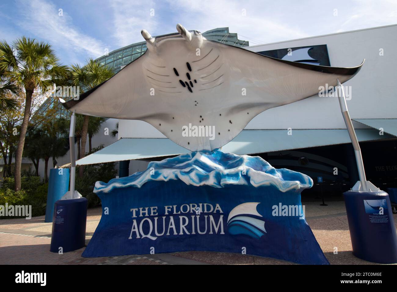 Manta Ray am Eingang zum Florida Aquarium in Tampa, FL - 5. Dezember 2023 Stockfoto