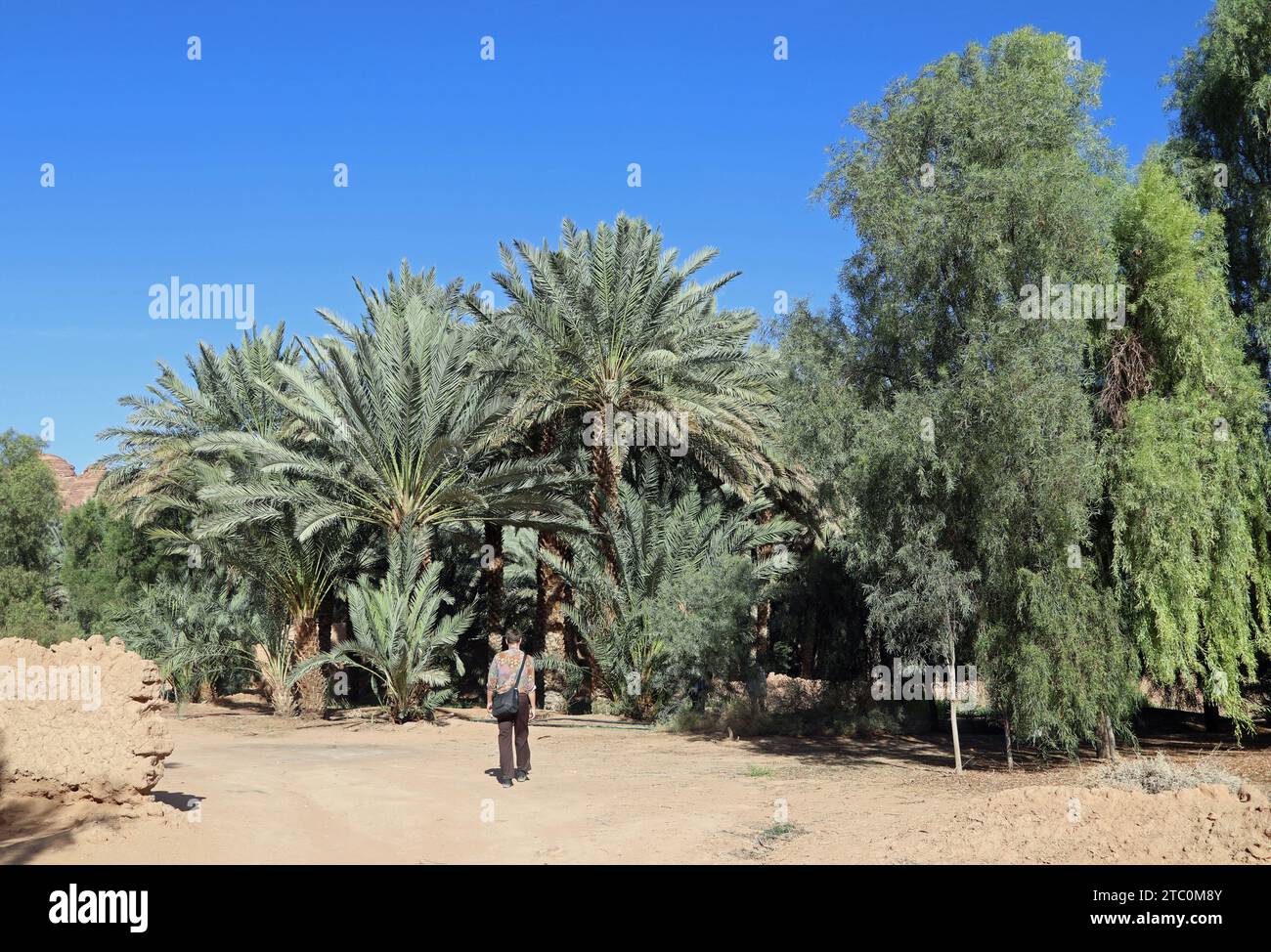 Touristenwanderung entlang des Al Ula Heritage Oasis Trail in Saudi-Arabien Stockfoto