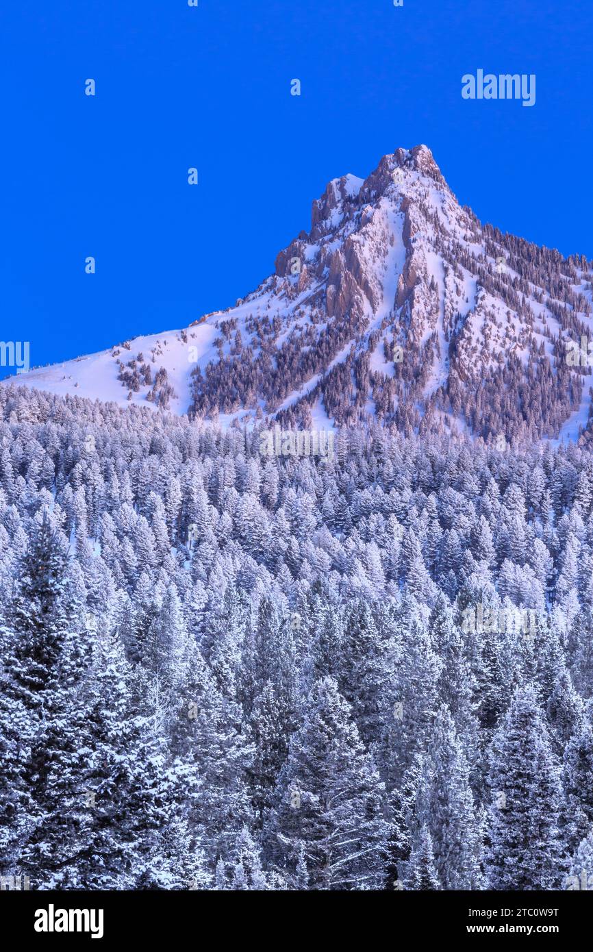 Licht vor der Morgendämmerung auf ross Peak in der bridger Range im Winter in der Nähe von bozeman, montana Stockfoto