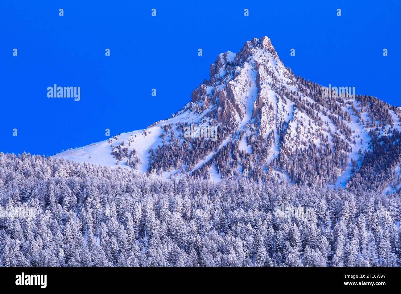 Licht vor der Morgendämmerung auf ross Peak in der bridger Range im Winter in der Nähe von bozeman, montana Stockfoto
