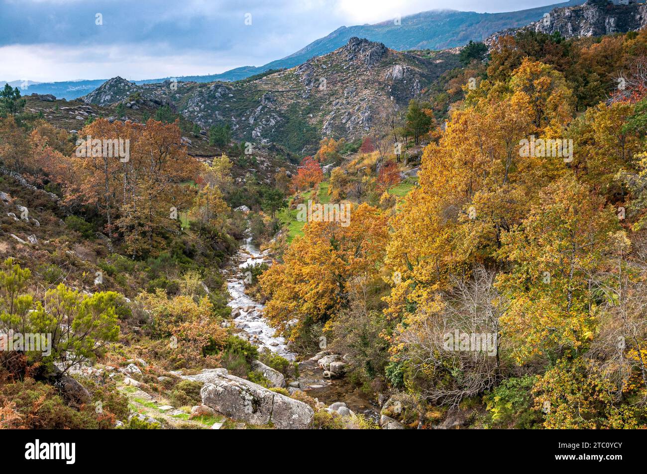 Ein Bach fließt im Herbst in Portugal durch ein kleines Tal im Naturpark Alvão Stockfoto