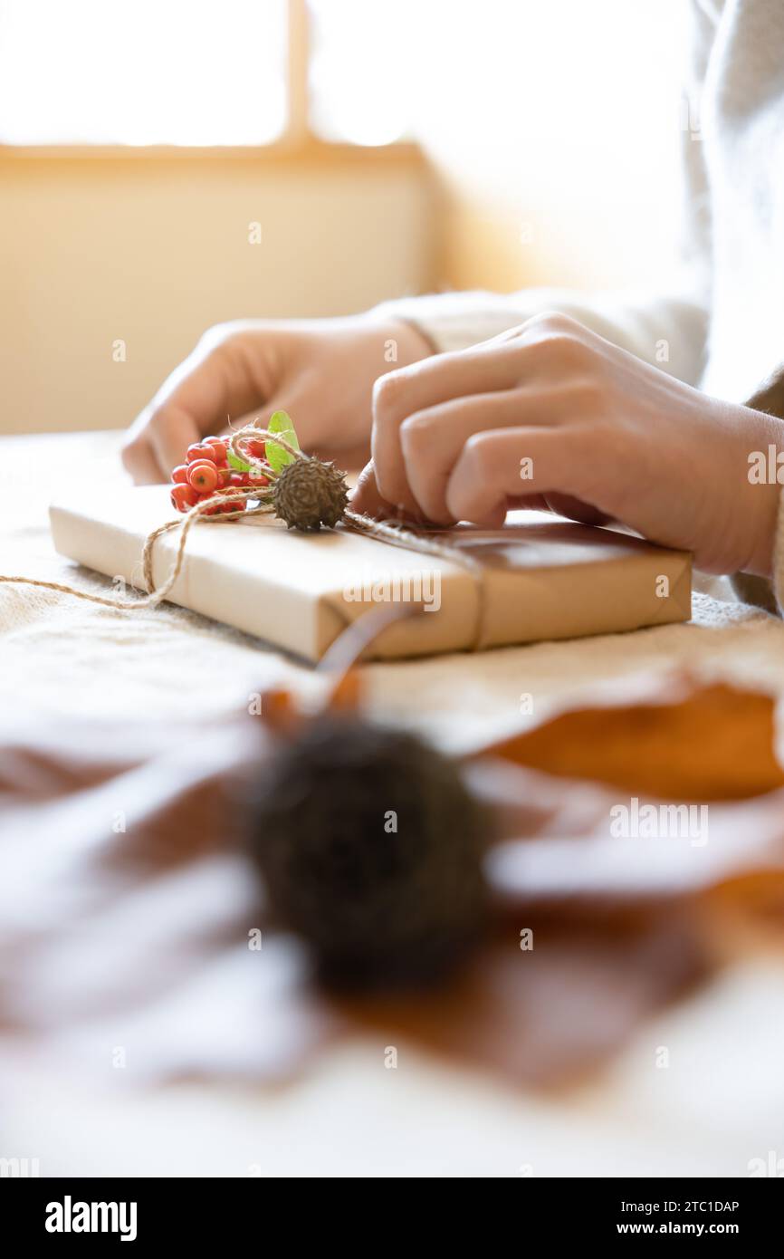 Die Hand der Frau hüllt ein Geschenk in Kraftpapier am Fenster mit Sonnenlicht. Unscharfes Foto mit Tannenzapfen und natürlichen Materialien zur Dekoration Stockfoto