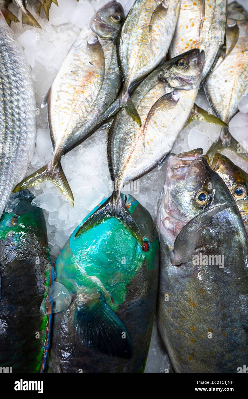 Farbenfrohe Fische an einem Stand auf einem Fischmarkt in Dschidda, Saudi-Arabien. Stockfoto