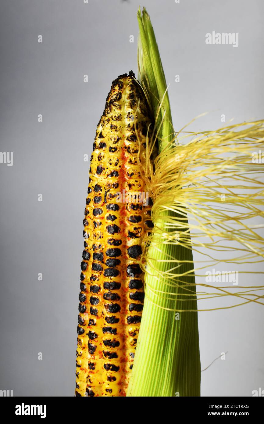 Frisch gerösteter Mais im ungekühlten Hintergrund Stockfoto
