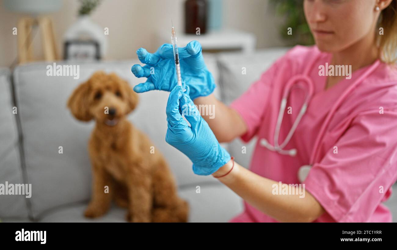 Junge kaukasische Frau mit Hundetierarzt, der in der Tierklinik den Impfstoff vorbereitet Stockfoto