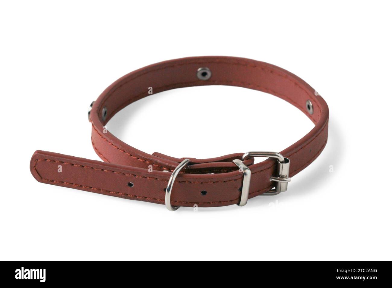 Braunes Hundehalsband aus Leder isoliert auf weißem Hintergrund Stockfoto