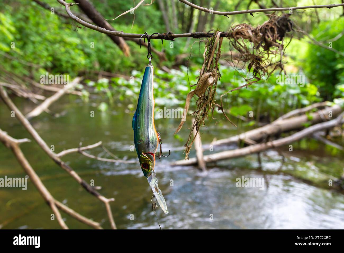 Blauer, winziger Wobbler hängt an einem Ast in der Nähe des Flusses Stockfoto