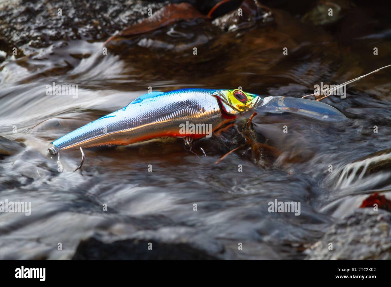 Blauer Minnow-Wobbler gefangen und liegt auf einem Rapid im Fluss Stockfoto