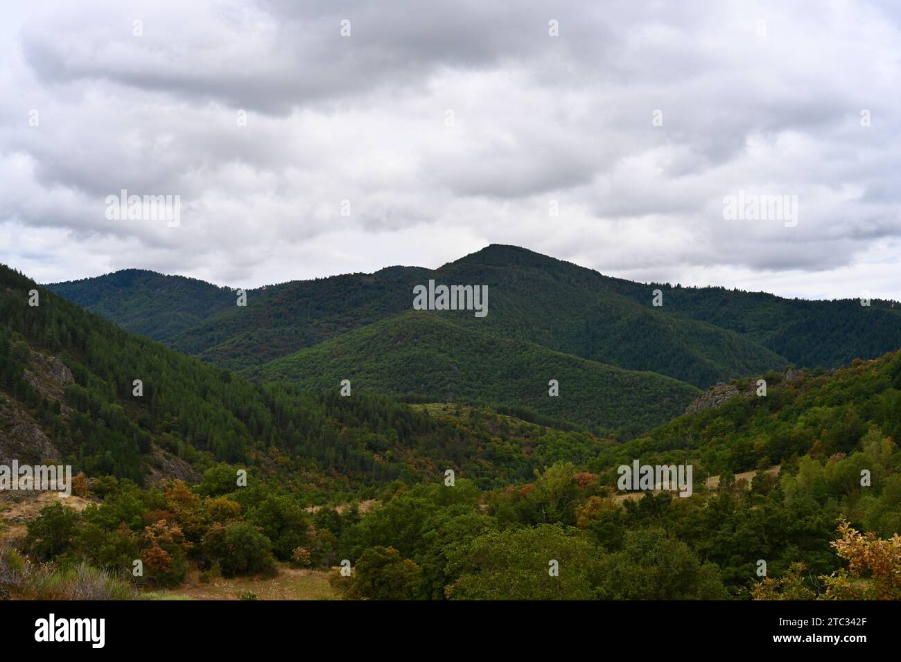 Nationalpark Cevennes in Südfrankreich Stockfoto