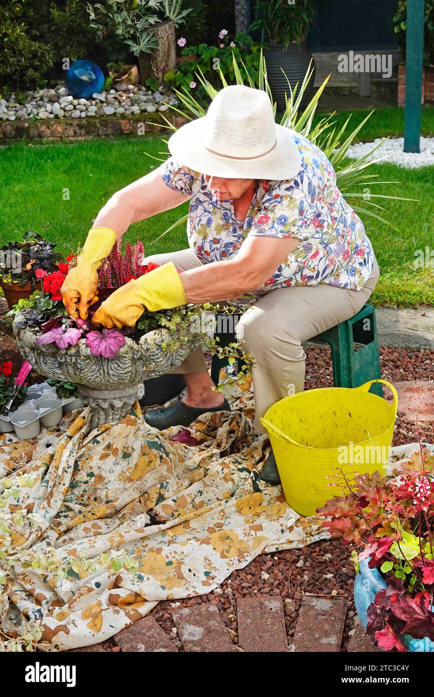Reife ältere Frau mit Arthritis sitzend, Frühlingszwiebeln in Stein Pflanzgefäß recycelter Vorhang als Staubtuch Sonnenhut & Handschuhe England Großbritannien Stockfoto