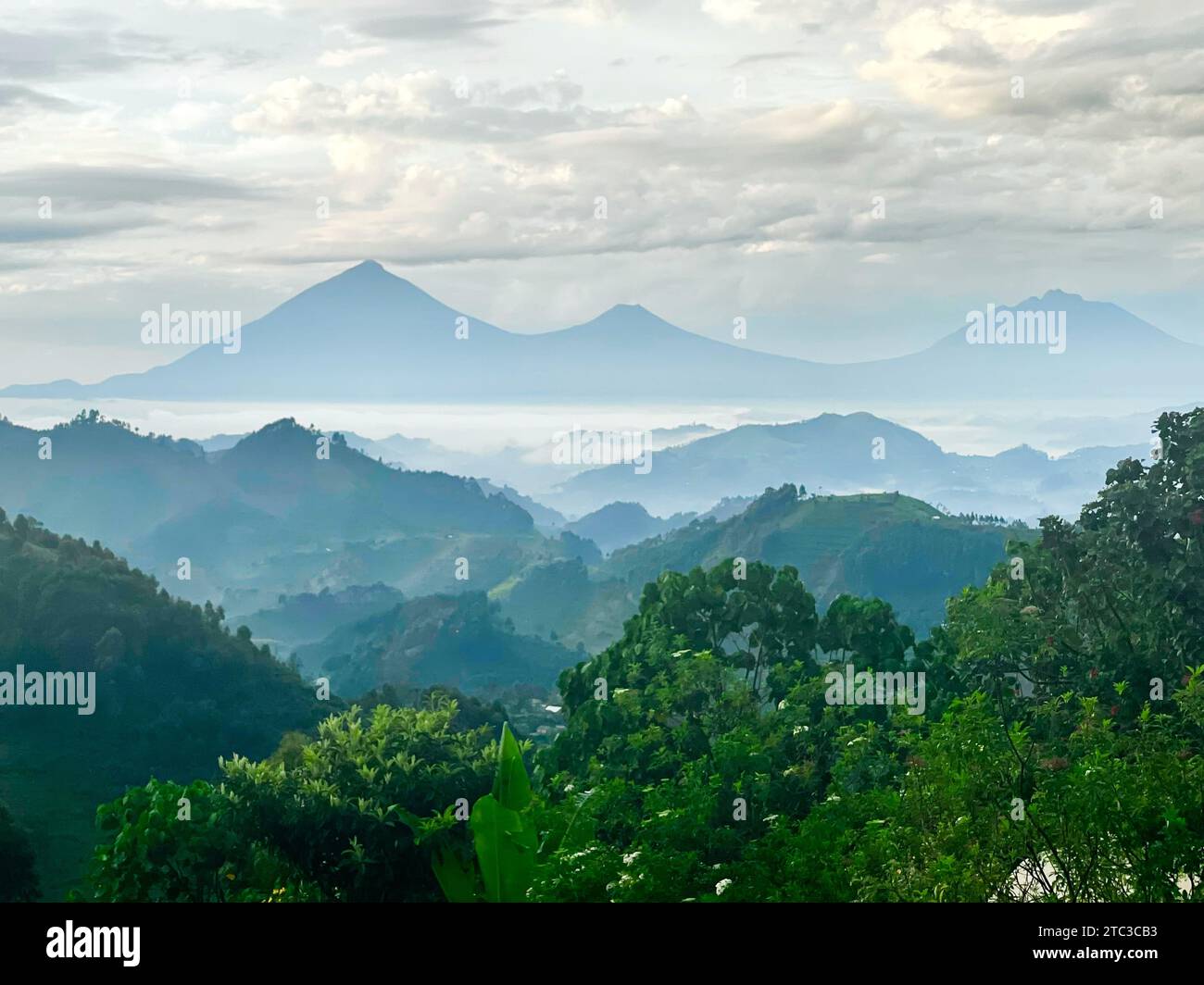 Misty Mountains - Virunga Mountain Range - Uganda - Muhabrua, Sabyinyo, Gahinga Stockfoto