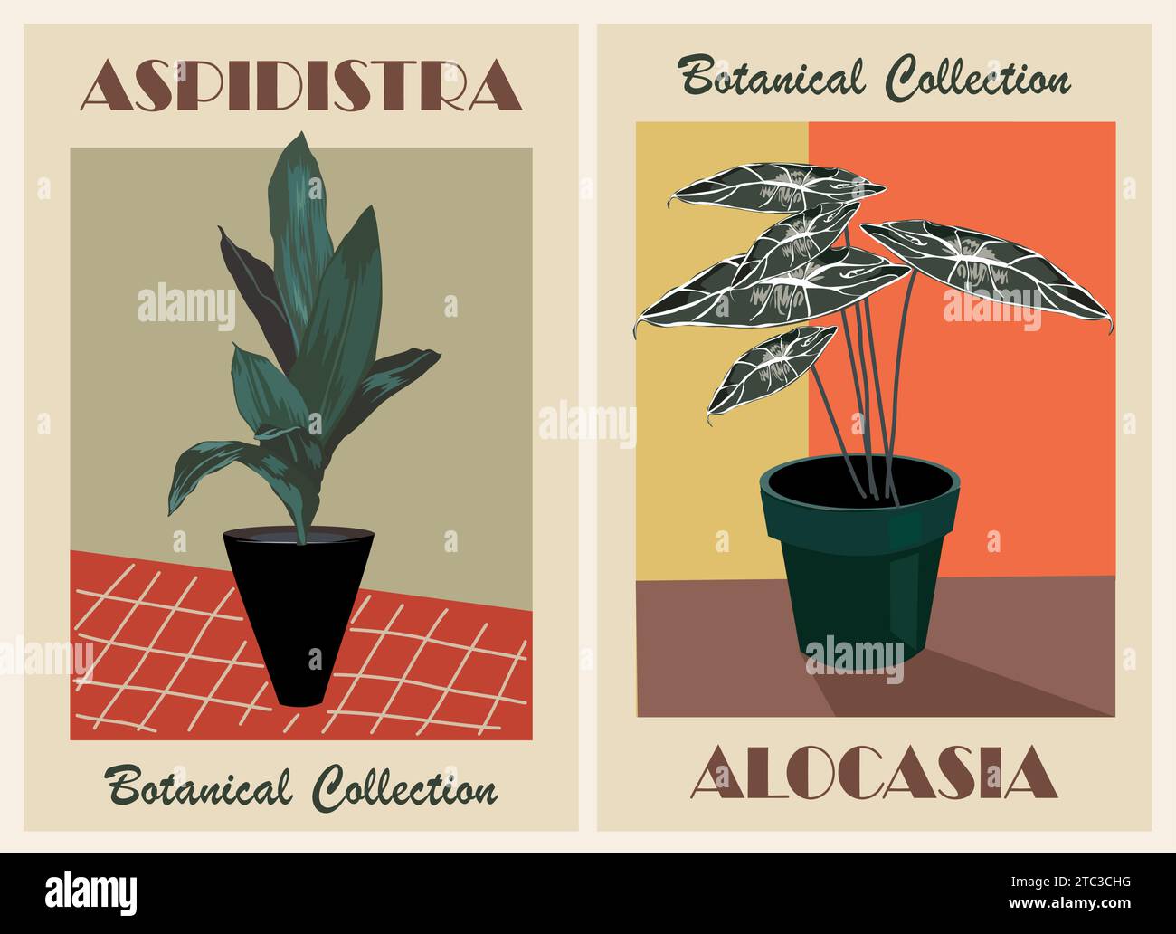 Botanische Retro-Poster im Stil der Mitte des Jahrhunderts. Stock Vektor