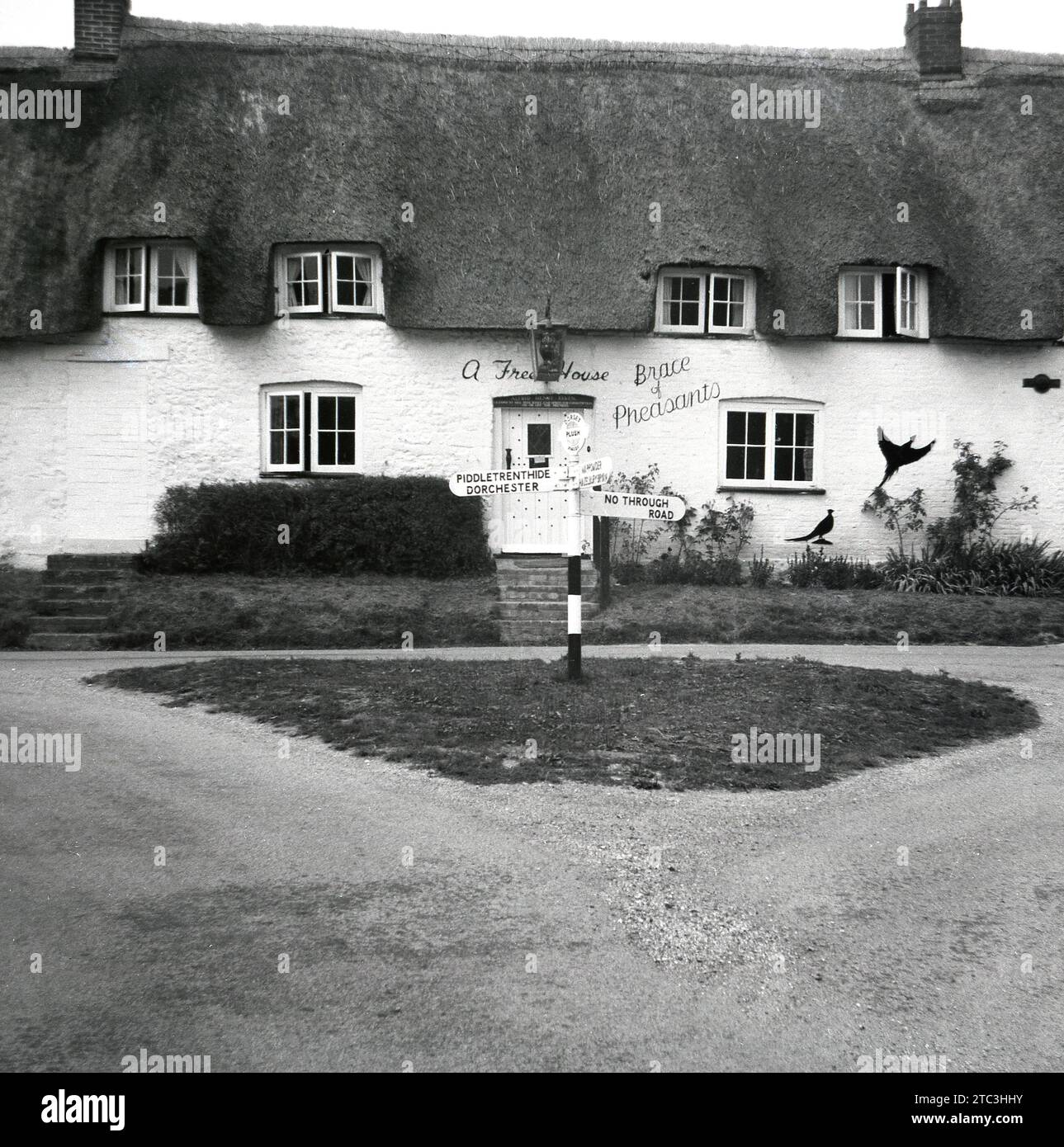 1960er Jahre, historisches, vorderes Äußere des Brace of Fasans, ein reetgedecktes Wirtshaus aus dem 16. Jahrhundert, in Dorset, England, Großbritannien. Über der Tür steht, dass der Pub ein Freihaus ist, nicht an eine Brauerei gebunden, mit dem Lizenzgeber Alfred Henry Elven. Auf dem Straßenschild steht: Piddletrenthide und Dorchester. Name über Tür, Lizenzgeber Stockfoto