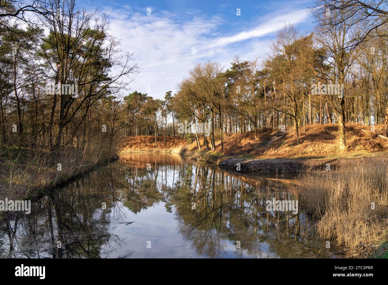 Kanal mit Bastion in der Nähe von Bergen op Zoom als Teil der West Brabant Wasserlinie Stockfoto