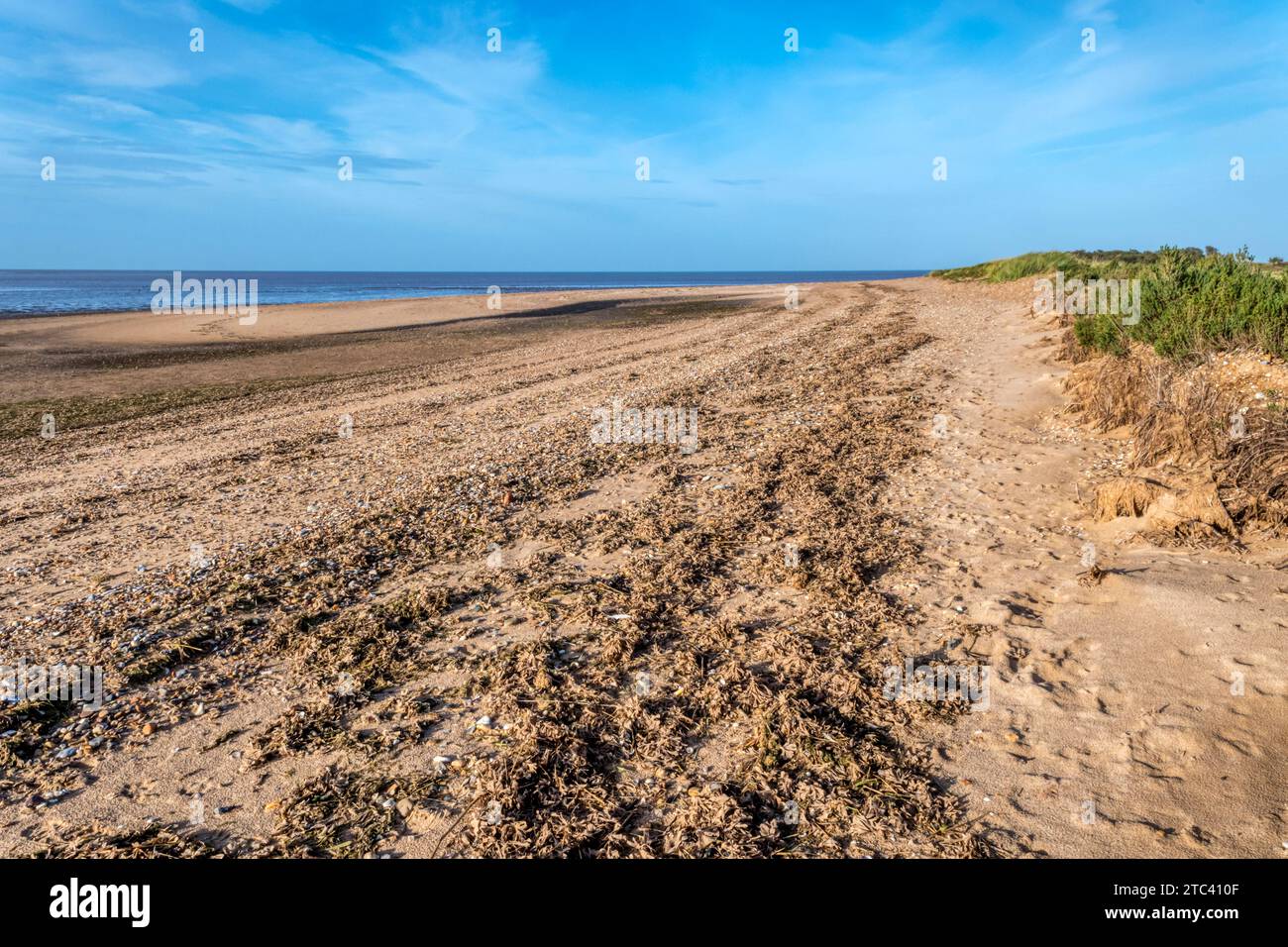 Ein verlassener Strand von Snettisham am Ostufer der Wash, Norfolk. Stockfoto