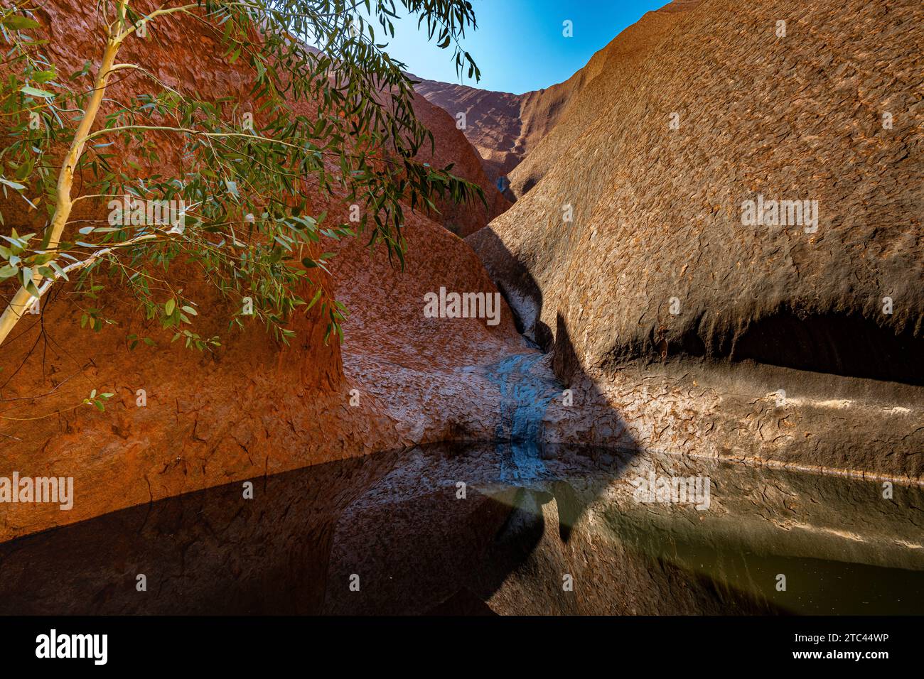 Uluru ist heilig für die Pitjantjatjara, die Aborigines der Gegend, bekannt als die Aṉangu. Das Gebiet um die Formation ist die Heimat einer Fülle von Stockfoto