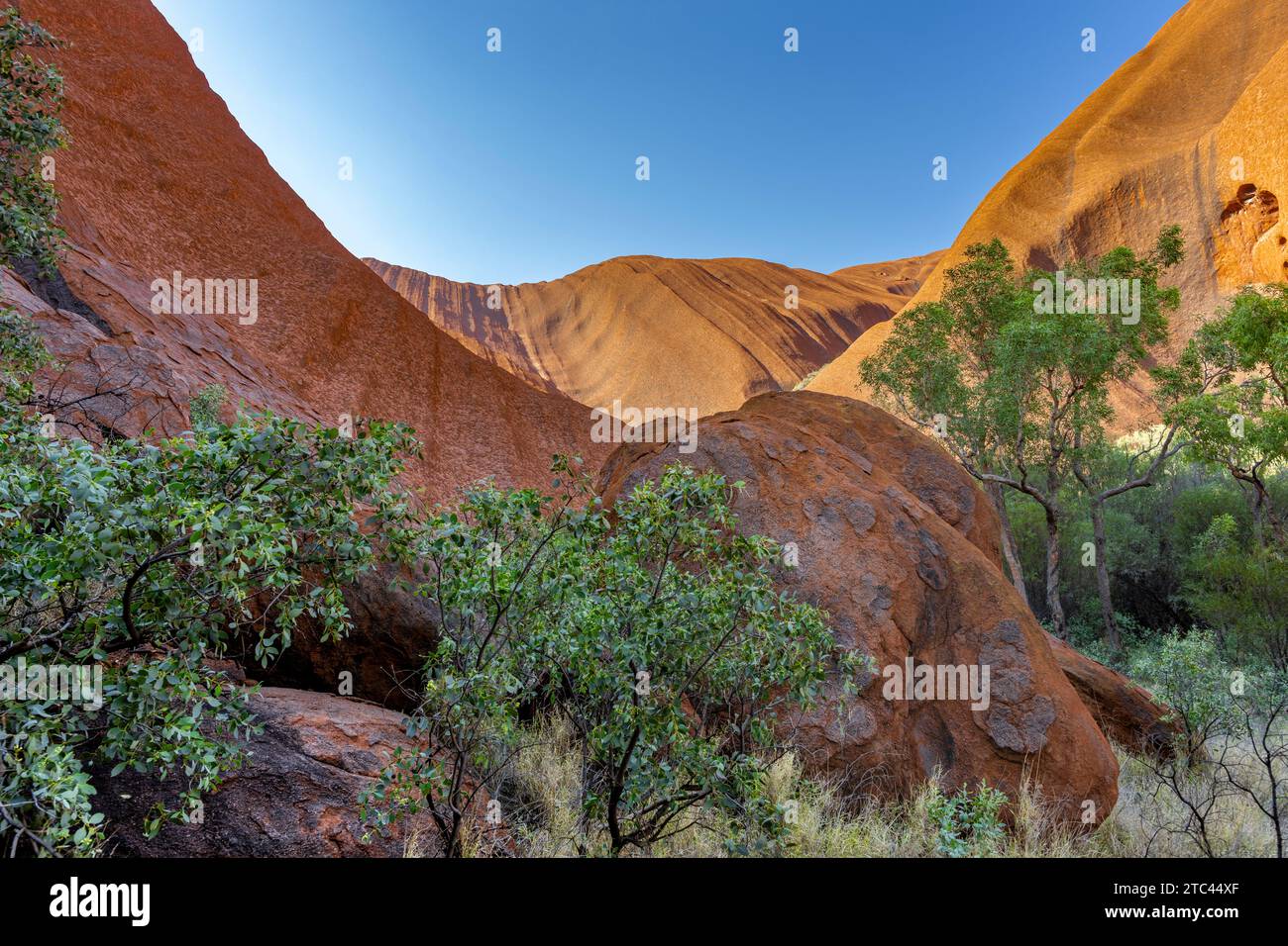 Uluru ist heilig für die Pitjantjatjara, die Aborigines der Gegend, bekannt als die Aṉangu. Das Gebiet um die Formation ist die Heimat einer Fülle von Stockfoto