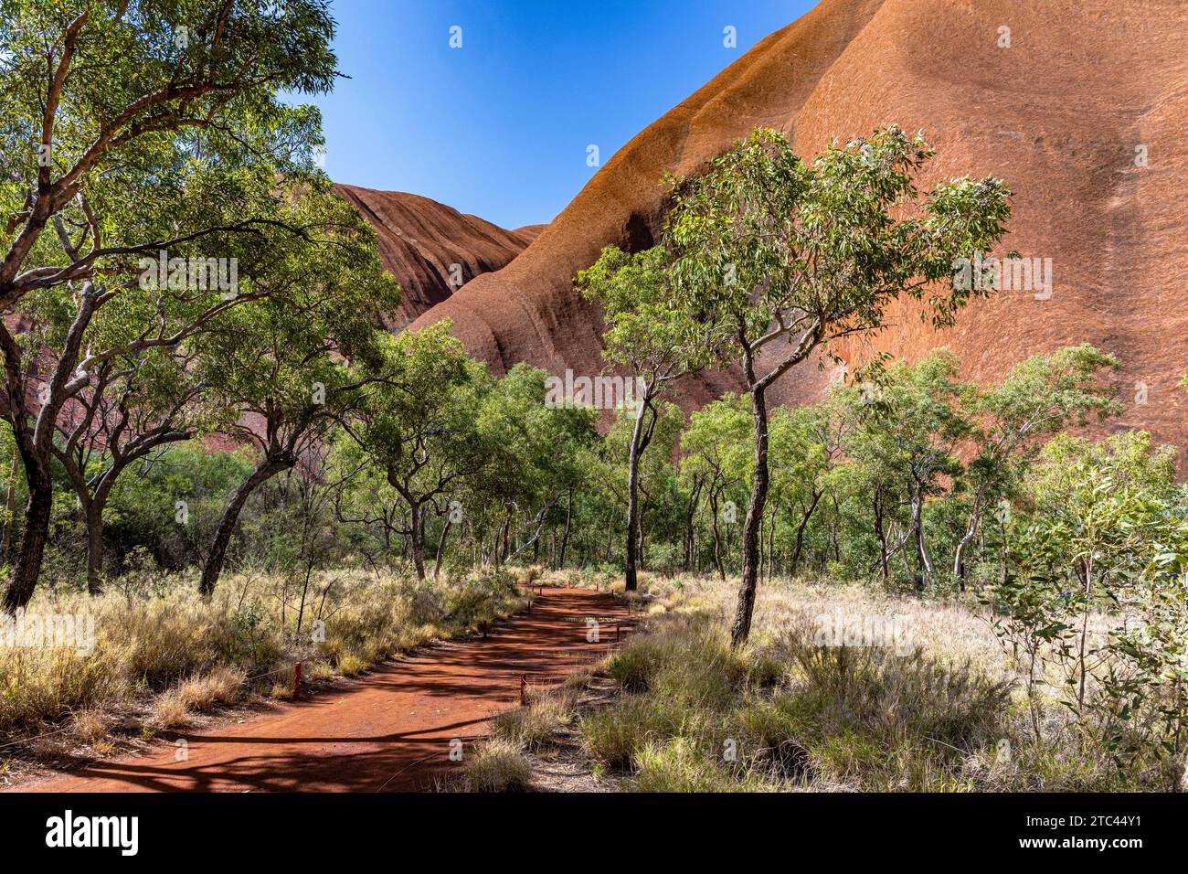 Uluru ist heilig für die Pitjantjatjara, die Aborigines der Gegend, bekannt als die Aṉangu. Das Gebiet um die Formation ist die Heimat einer Fülle von Stockfoto