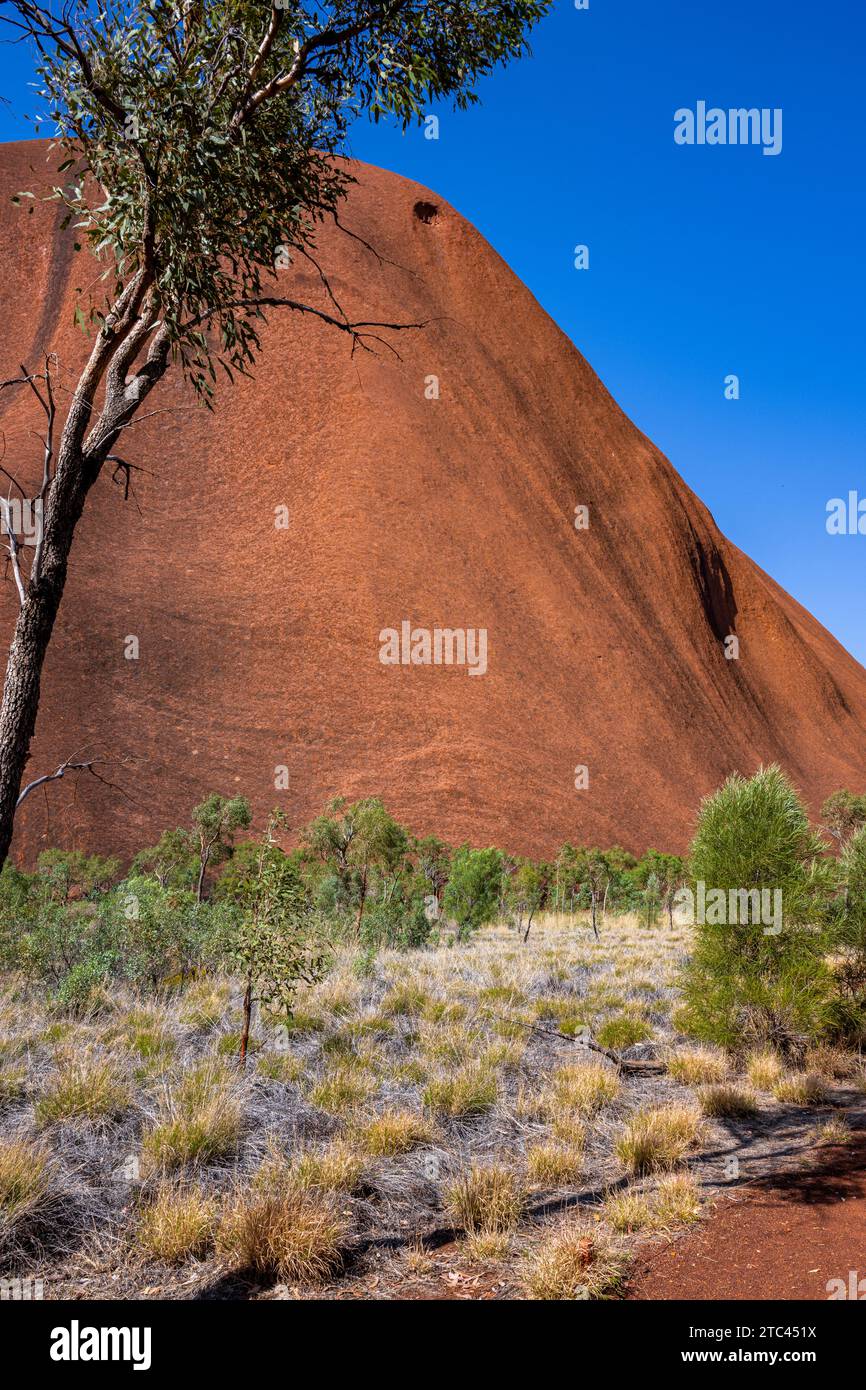 Uluru ist heilig für die Pitjantjatjara, die Aborigines der Gegend, bekannt als die Aṉangu. Das Gebiet um die Formation ist die Heimat einer Fülle von Stockfoto
