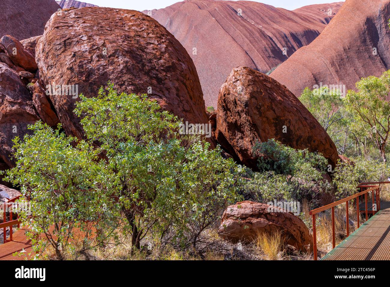 Uluru ist heilig für die Pitjantjatjara, die Aborigines der Gegend, bekannt als die Aṉangu. Das Gebiet um die Formation ist die Heimat einer Fülle von Stockfoto