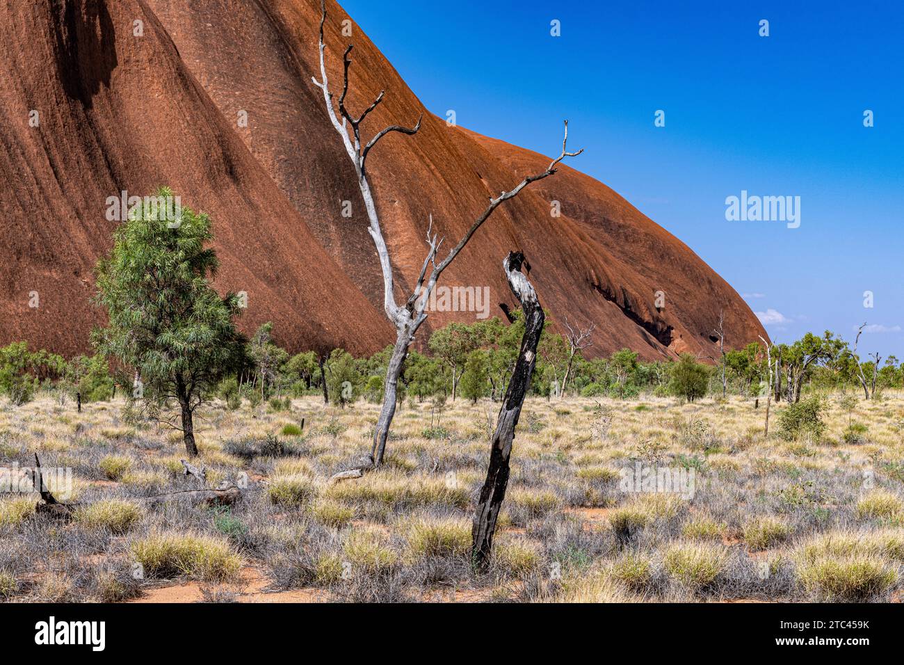 Uluru ist heilig für die Pitjantjatjara, die Aborigines der Gegend, bekannt als die Aṉangu. Das Gebiet um die Formation ist die Heimat einer Fülle von Stockfoto