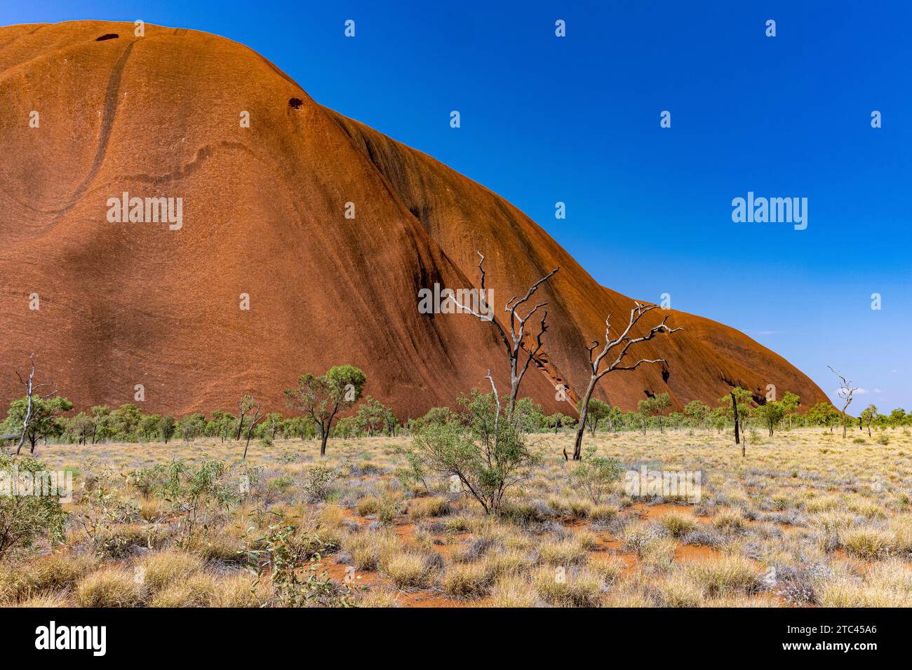 Uluru ist heilig für die Pitjantjatjara, die Aborigines der Gegend, bekannt als die Aṉangu. Das Gebiet um die Formation ist die Heimat einer Fülle von Stockfoto
