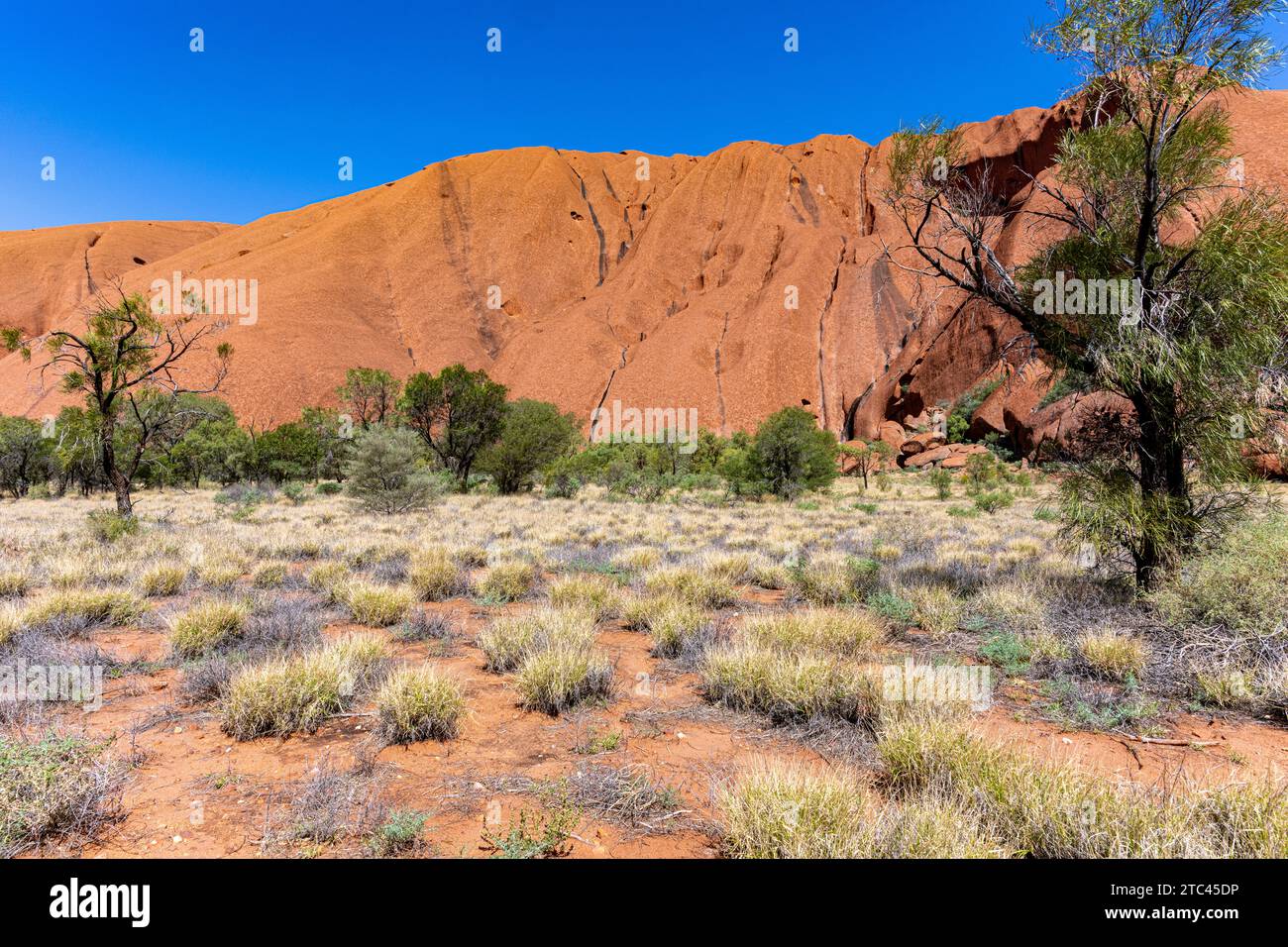 Uluru ist heilig für die Pitjantjatjara, die Aborigines der Gegend, bekannt als die Aṉangu. Das Gebiet um die Formation ist die Heimat einer Fülle von Stockfoto