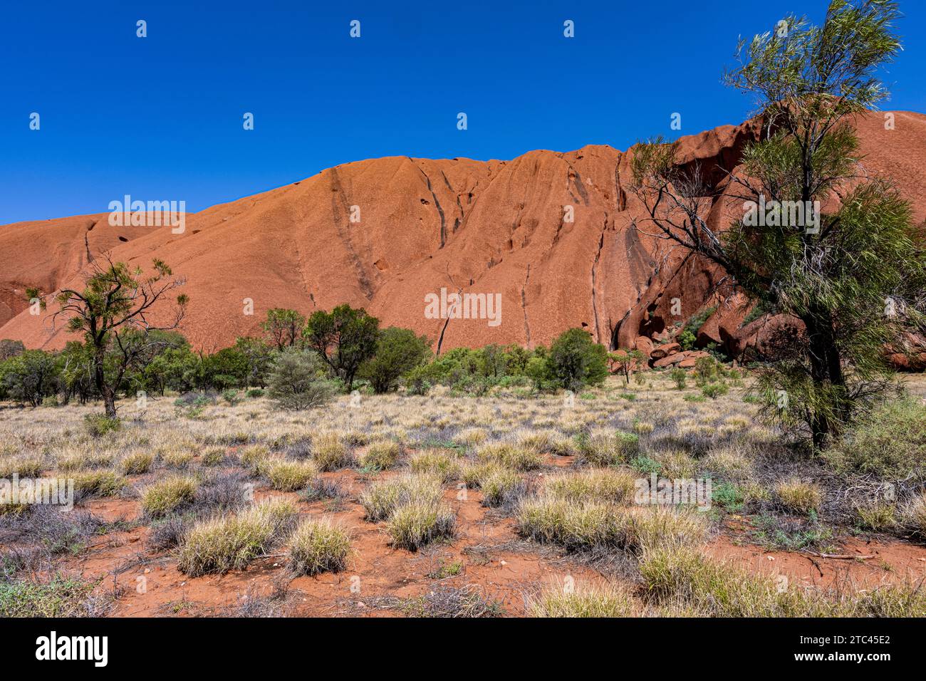 Uluru ist heilig für die Pitjantjatjara, die Aborigines der Gegend, bekannt als die Aṉangu. Das Gebiet um die Formation ist die Heimat einer Fülle von Stockfoto