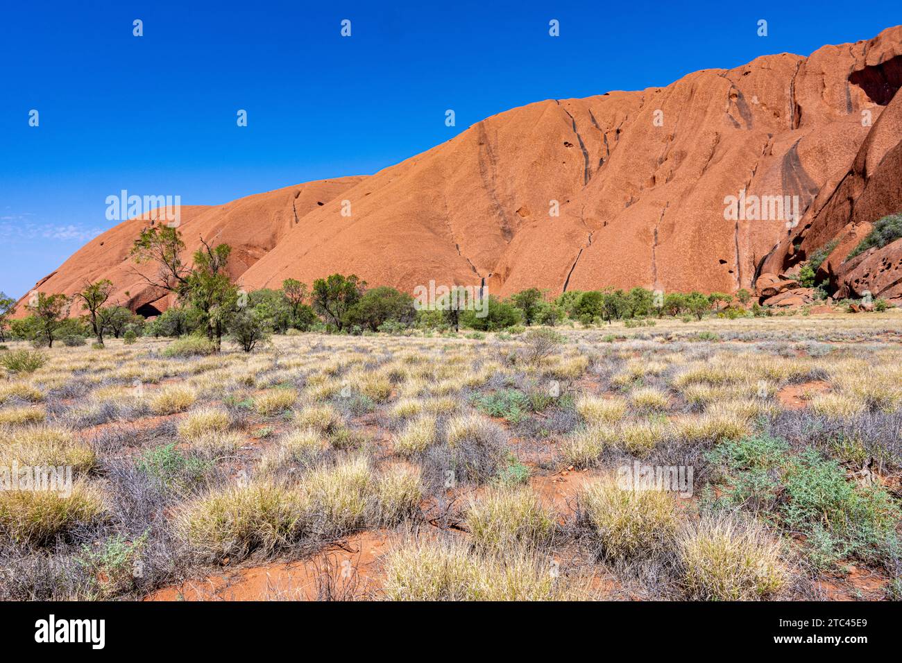 Uluru ist heilig für die Pitjantjatjara, die Aborigines der Gegend, bekannt als die Aṉangu. Das Gebiet um die Formation ist die Heimat einer Fülle von Stockfoto