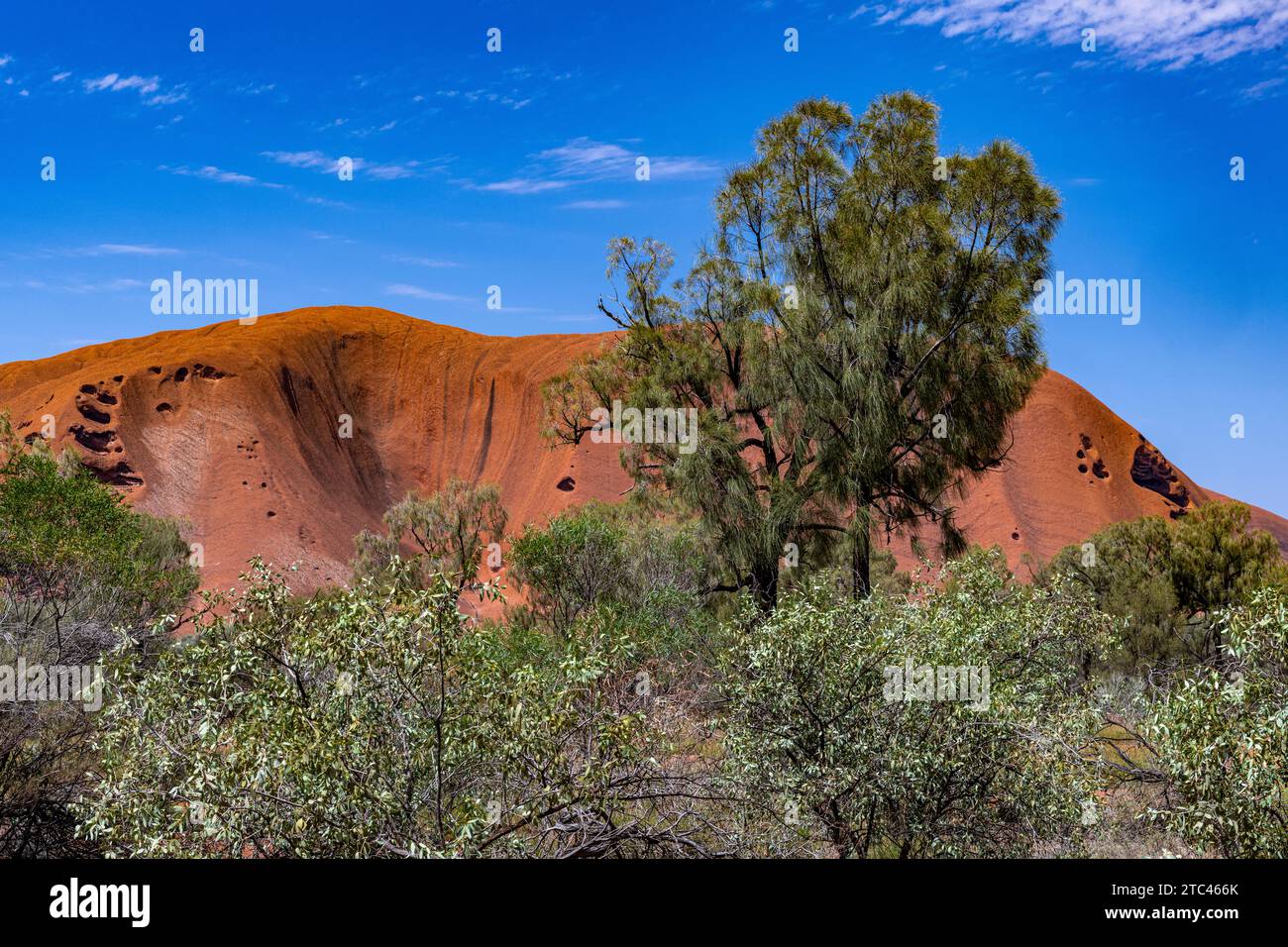 Uluru ist heilig für die Pitjantjatjara, die Aborigines der Gegend, bekannt als die Aṉangu. Das Gebiet um die Formation ist die Heimat einer Fülle von Stockfoto
