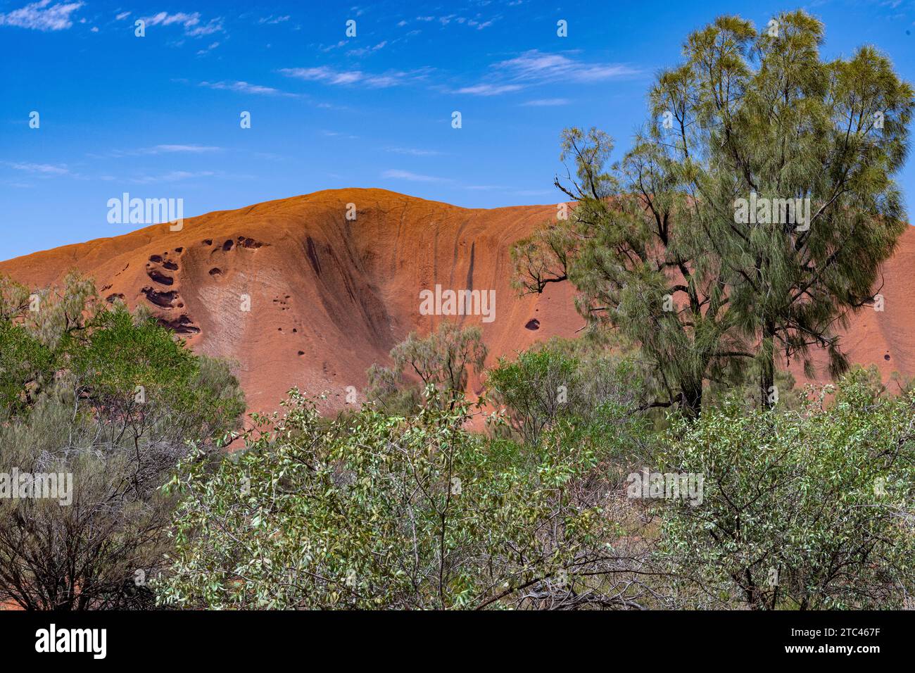 Uluru ist heilig für die Pitjantjatjara, die Aborigines der Gegend, bekannt als die Aṉangu. Das Gebiet um die Formation ist die Heimat einer Fülle von Stockfoto