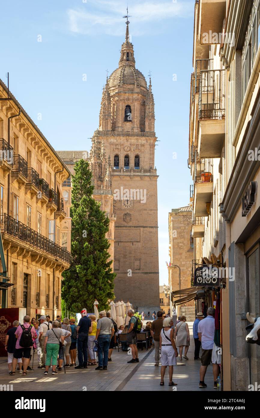 Touristen und Urlauber vor der Kathedrale von Salamanca zur Himmelfahrt der Jungfrau Maria in der spanischen Stadt Salamanca Castile Leon Spanien Stockfoto