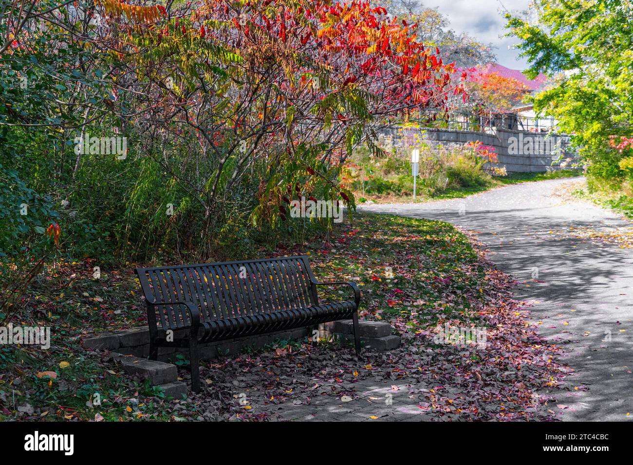 Eine Ecke mit einer schwarzen Metallbank an einer Gabel in drei Straßen Stockfoto
