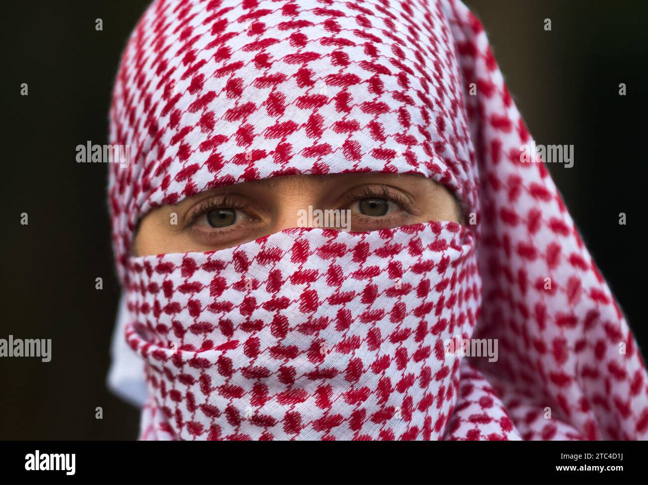 Ein propalästinensischer Demonstrant wird beobachtet, wie er an einem
