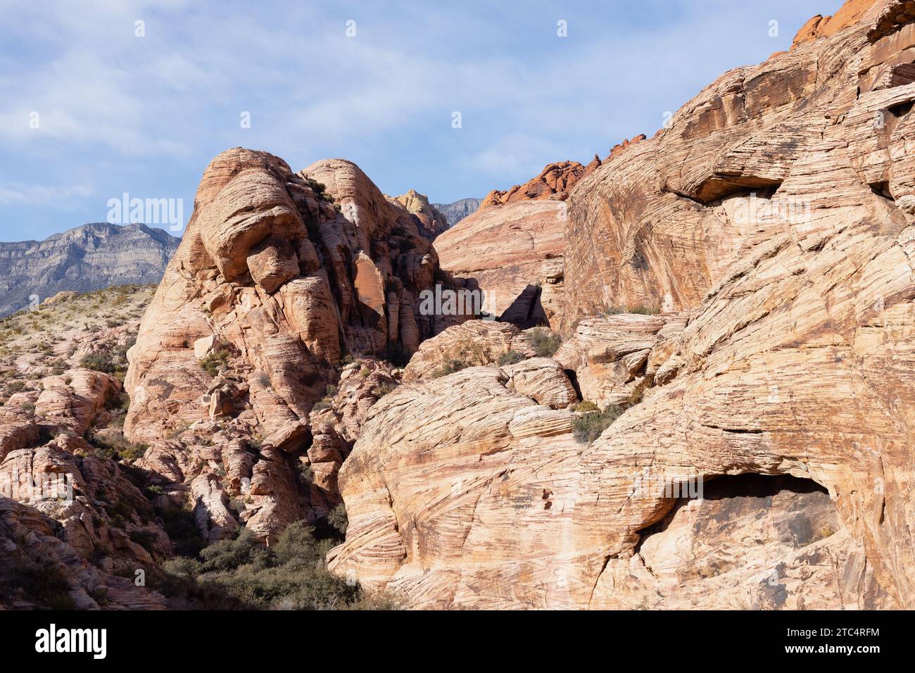 Red Rock Canyon in Nevada an einem sonnigen Dezembertag. Stockfoto