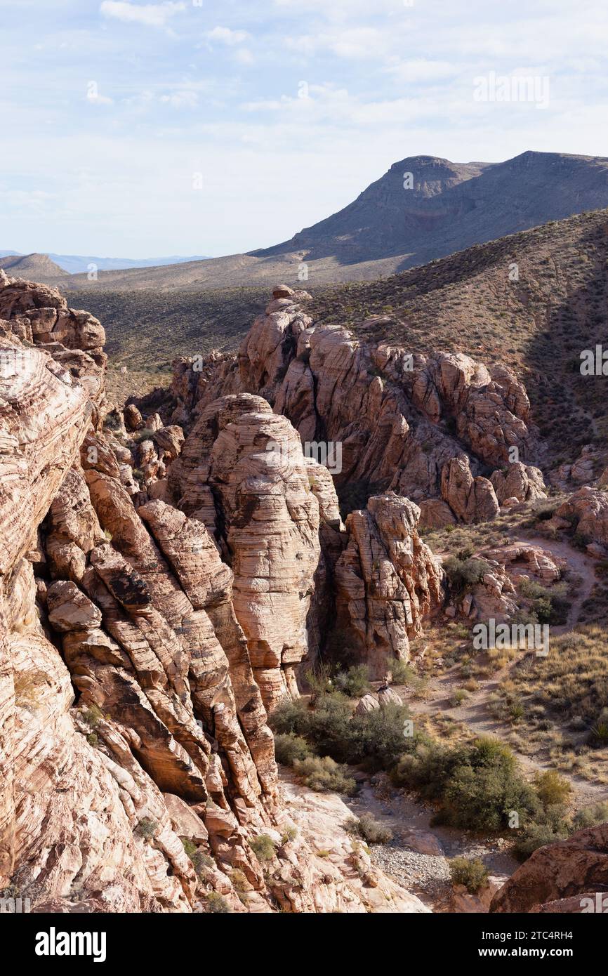 Red Rock Canyon in Nevada an einem sonnigen Dezembertag. Stockfoto