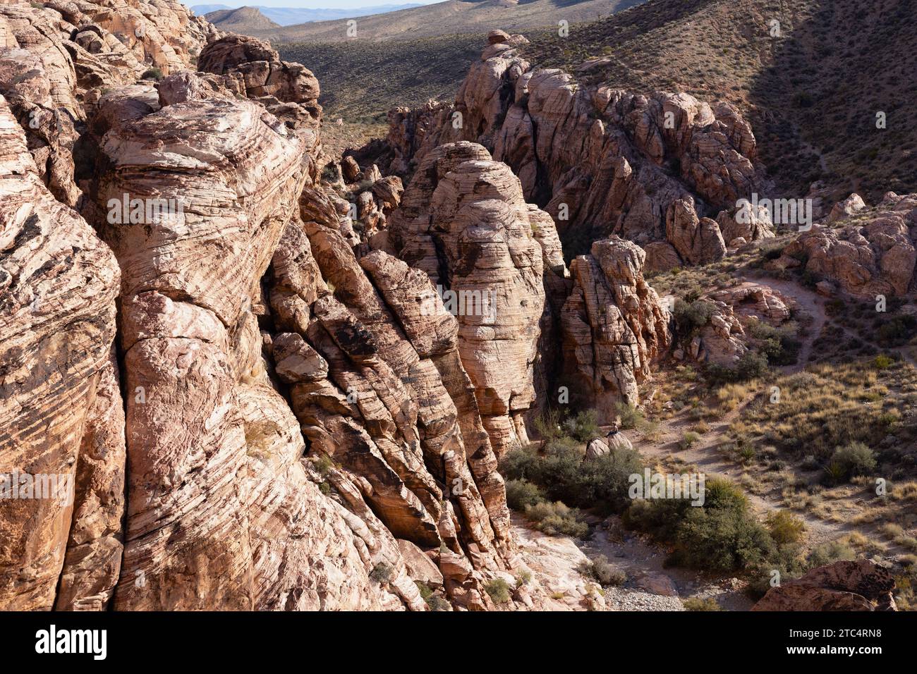 Red Rock Canyon in Nevada an einem sonnigen Dezembertag. Stockfoto
