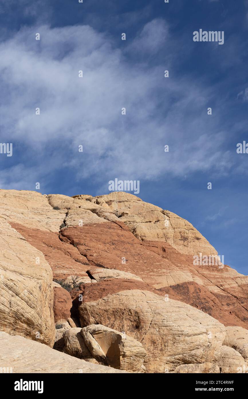 Red Rock Canyon in Nevada an einem sonnigen Dezembertag. Stockfoto