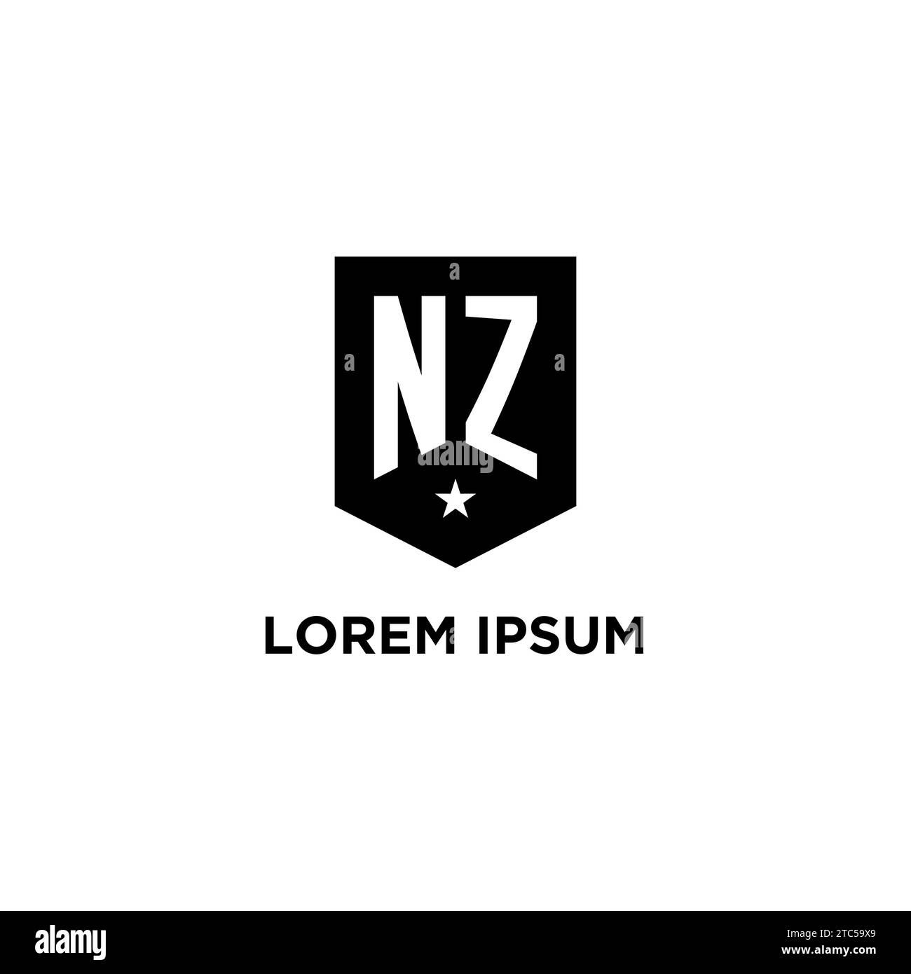NZ-Monogramm-Anfangslogo mit geometrischem Schild und Design-Ideen für Sternenkennzeichen Stock Vektor