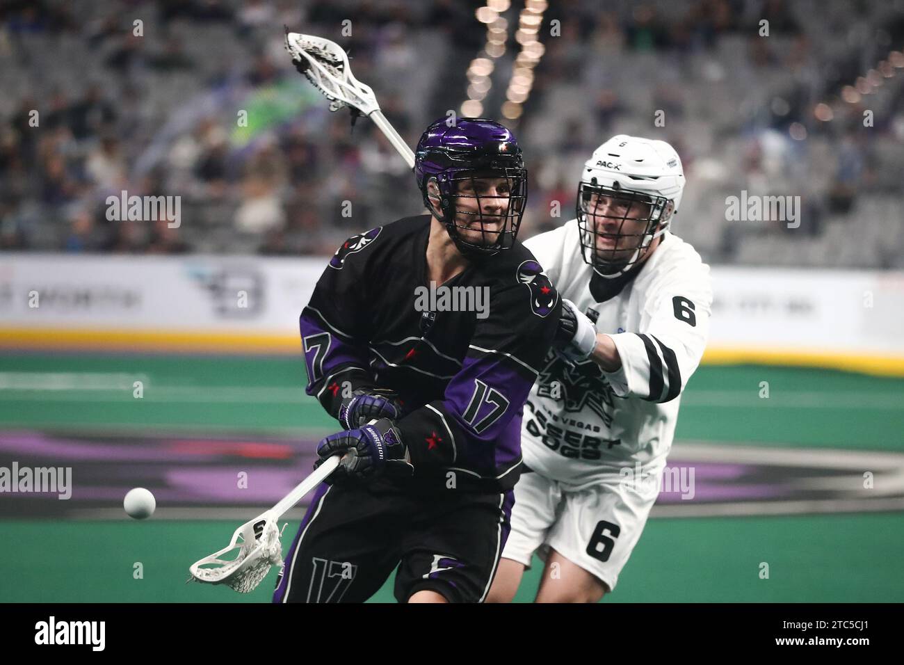 Fort Worth, Texas, USA. Dezember 2023. Panther City Lacrosse Club Stürmer MATHIEU GAUTIER (17) wirft den Ball nach rechts und weg vom Netz, und der Verteidiger der Las Vegas Desert Dogs GRIFFIN HALL (6) während des PCLC-Heimspiels in der Dickies Arena in Fort Worth, Texas am Sonntagnachmittag. Las Vegas gewann den Wettbewerb 11-10 in Überstunden, während 12:05 Uhr in der OT-Periode blieb. (Kreditbild: © Brian McLean/ZUMA Press Wire) NUR REDAKTIONELLE VERWENDUNG! Nicht für kommerzielle ZWECKE! Stockfoto