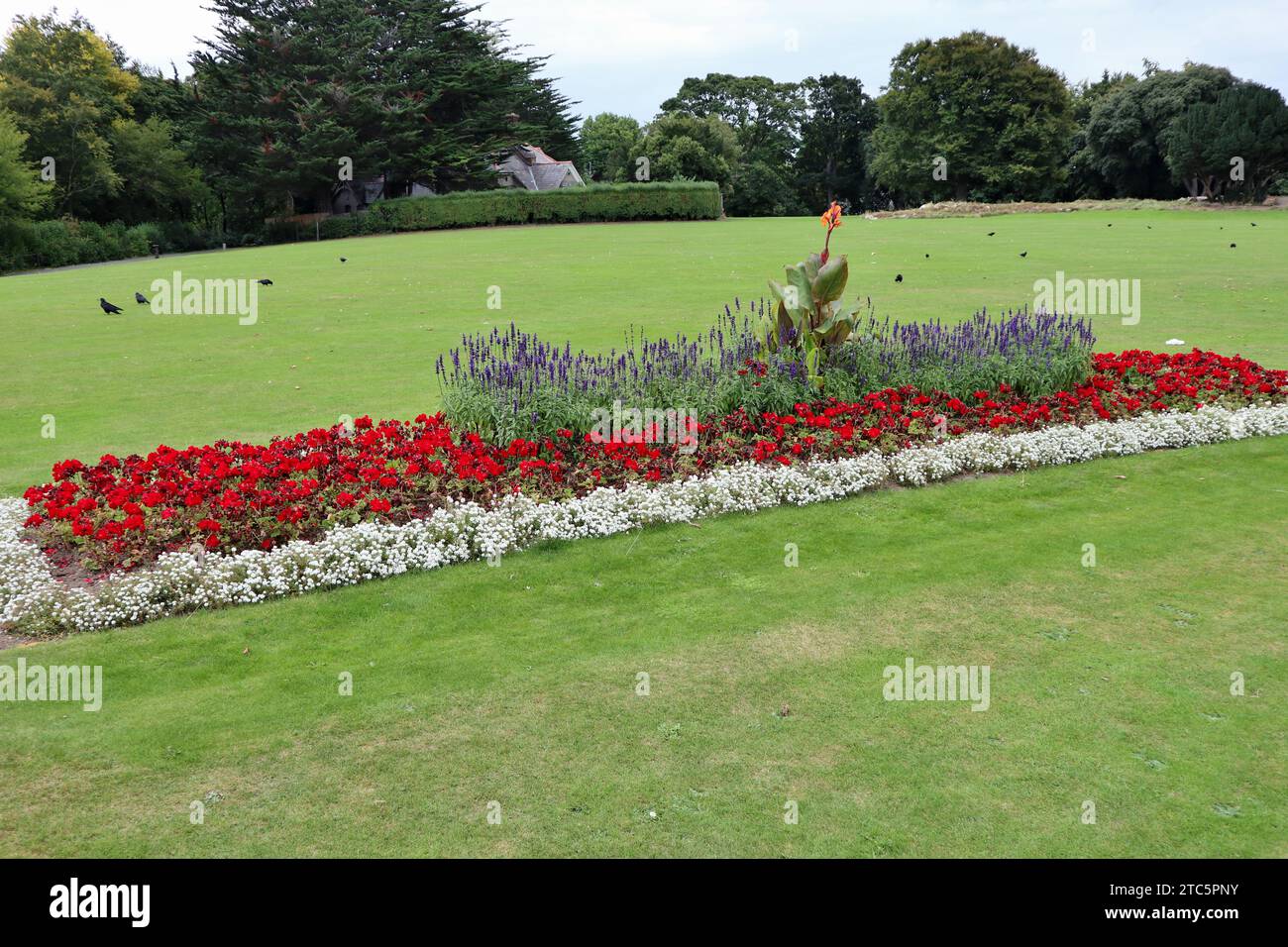 Dublino - Aiuola rettangolare con fiori rossi im Saint James' Phoenix Park Stockfoto