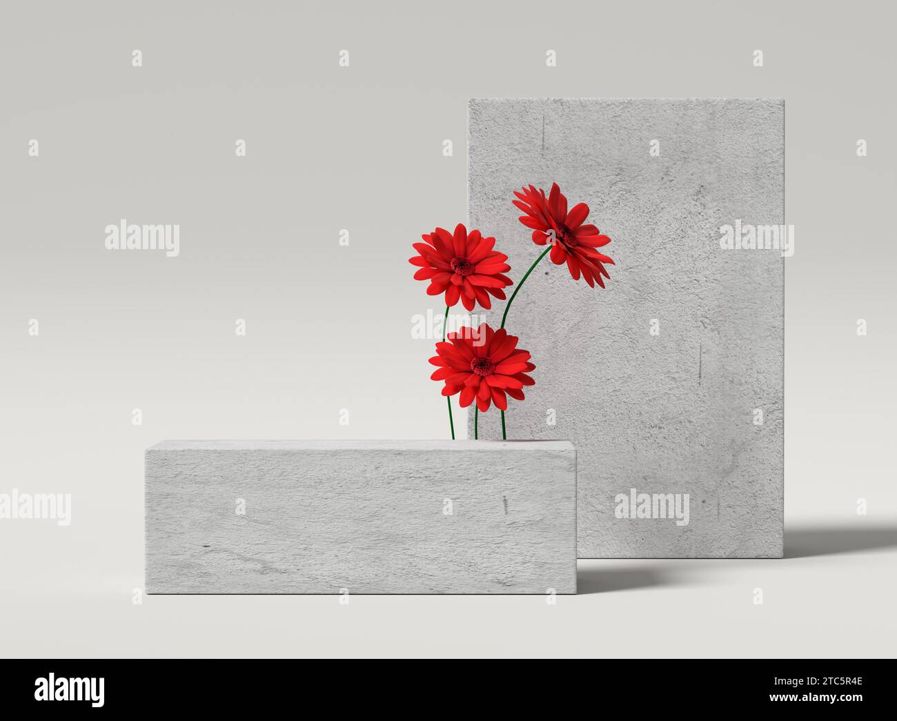 Minimalistisches Schaufensterpodium oder Podest für Produktpräsentation mit rechteckigen Betonständern und roten Blumen auf weißem Hintergrund. 3D-Rendering. Stockfoto