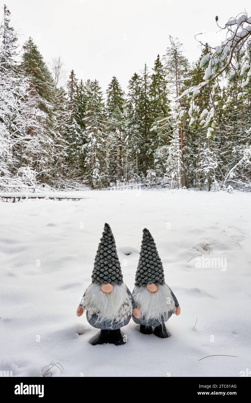 Die beiden fröhlichen Schneegomben stehen in einem malerischen Winterwunderland. Stockfoto