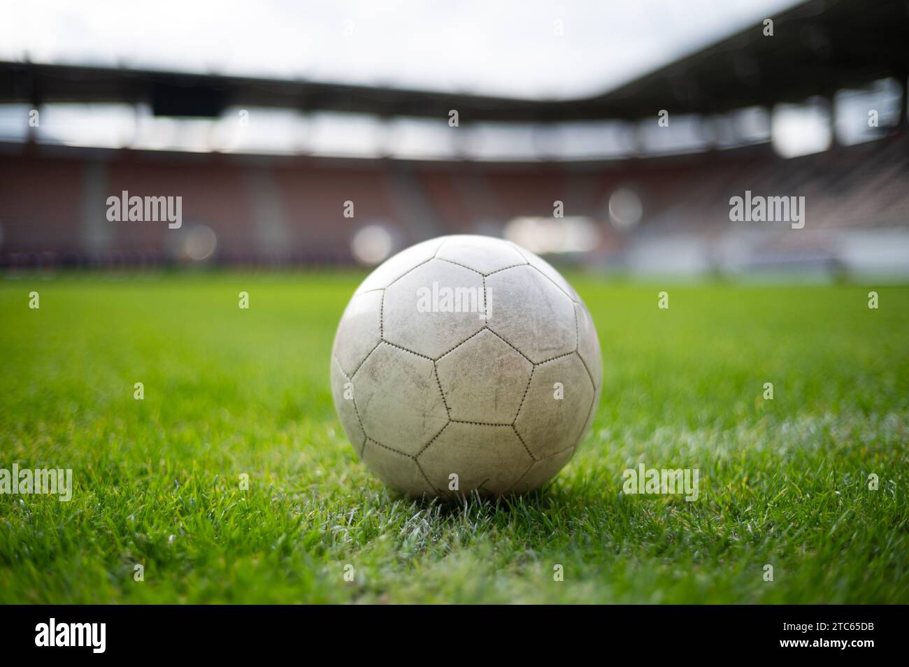 Weißer Fußball, der im Stadion auf dem Gras liegt Stockfoto