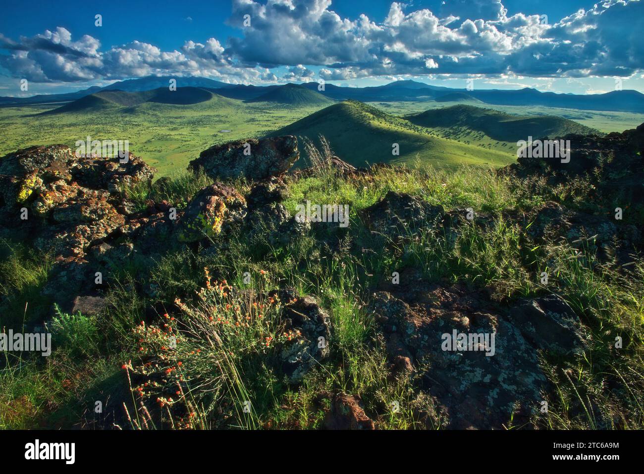 Eine malerische Landschaft mit grünen Hügeln und blauem bewölktem Himmel. Colton Crater, Arizona Stockfoto