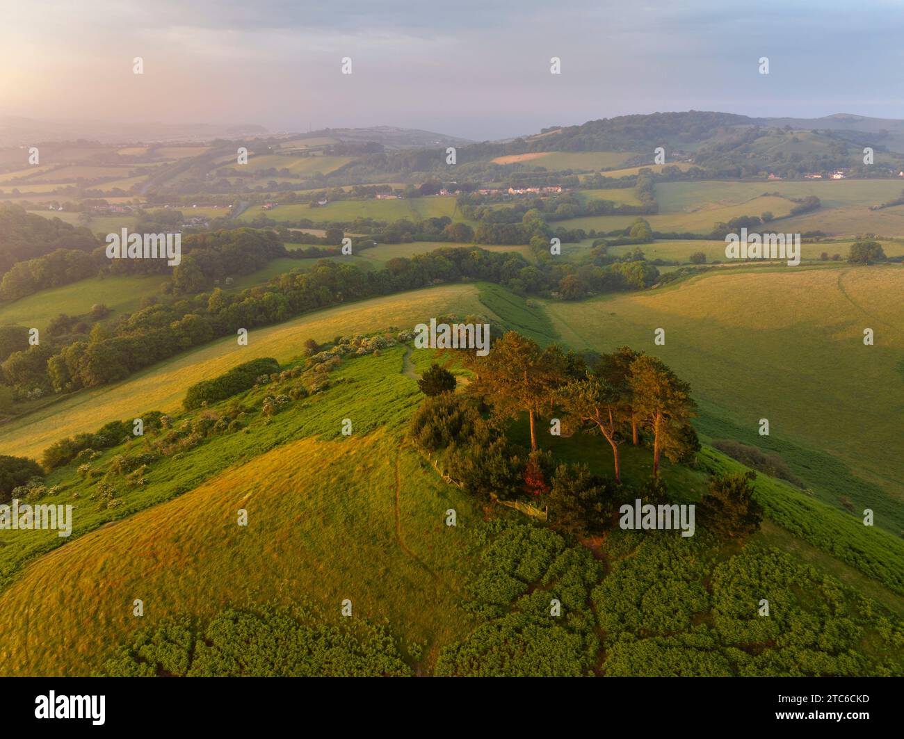 Blick aus der Vogelperspektive auf Colmer's Hill bei Sonnenaufgang an einem Sommermorgen, West Dorset, England. Sommer (Juni) 2023. Stockfoto