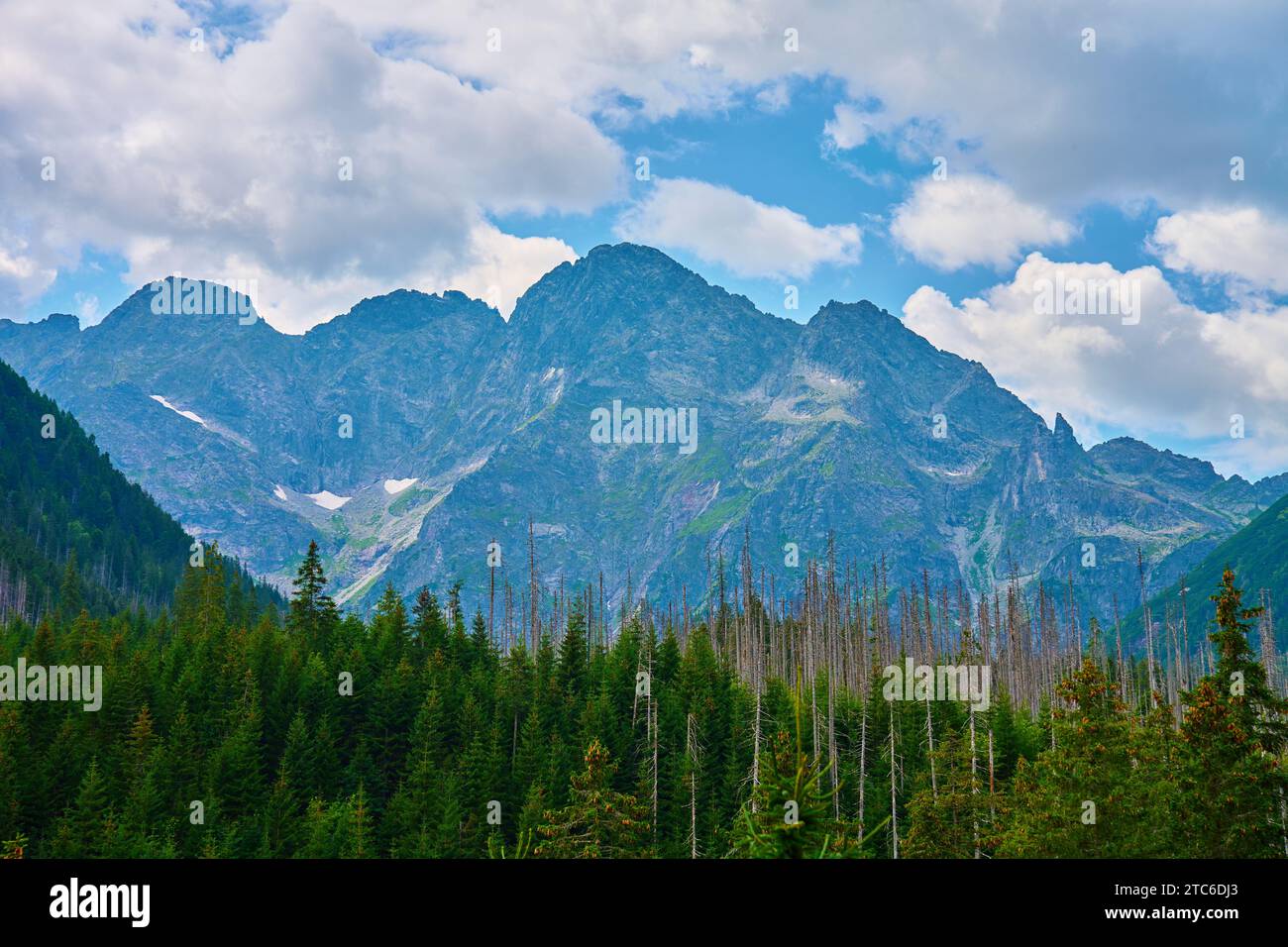 Herrliche Aussicht auf die Berge in der Nähe von Waldbäumen am Sommertag. Tatra-Nationalpark in Polen Stockfoto