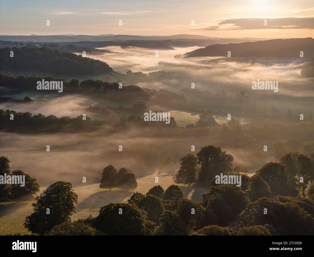 Nebel umhüllte Landschaft bei Sonnenaufgang, Lanhydrock, Cornwall, England. (August) 2023. Stockfoto